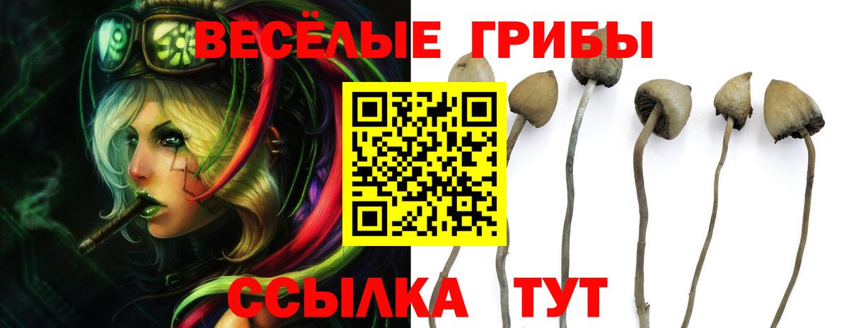 Псилоцибиновые грибы мицелий  Вход с VPN  Миасс 